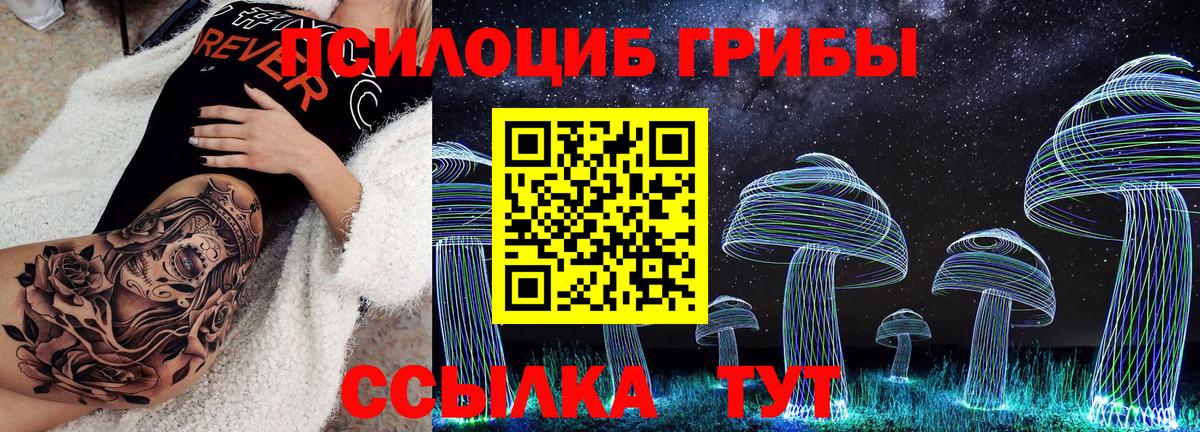 Галлюциногенные грибы Cubensis Коряжма