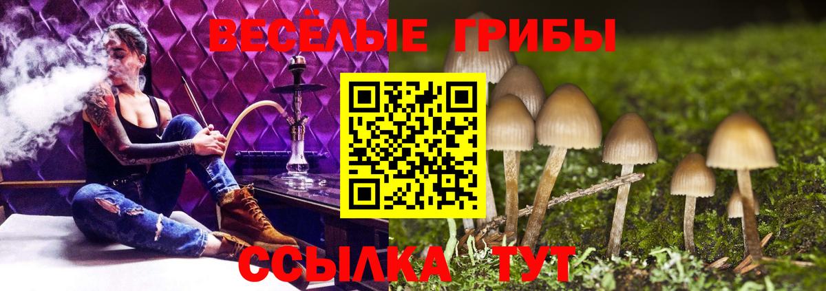 Коряжма  Псилоцибиновые грибы ЛСД  Галлюциногенные грибы GOLDEN TEACHER  Вход с VPN 
